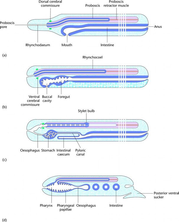 [Figure 1]