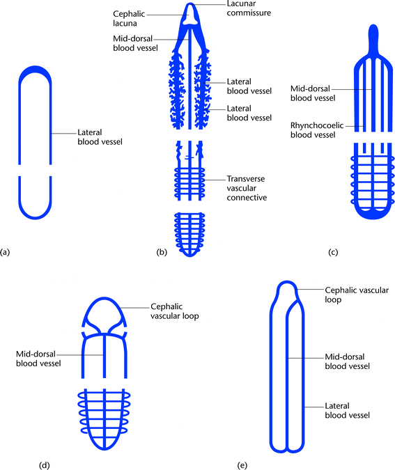 [Figure 2]