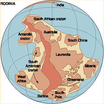 Rhodinia